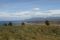 View to Magellan Straight at Fuerte Bulnes